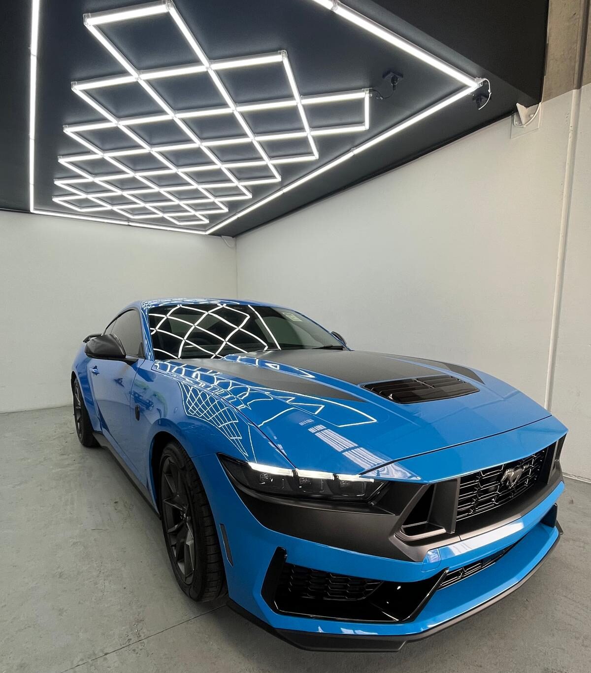 ford mustang window tinting blue